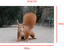 Desktop img image