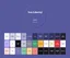 palette-light-04.png image